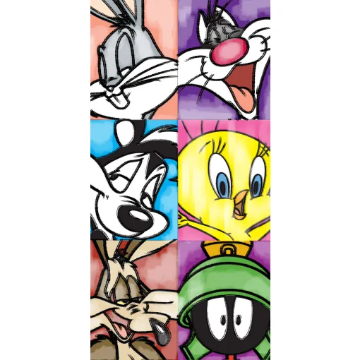 Ręcznik bawełniany Looney Tunes RDC-366